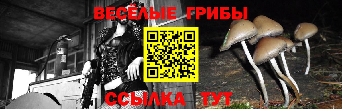 Галлюциногенные грибы мухоморы  Вход с VPN  Сургут 